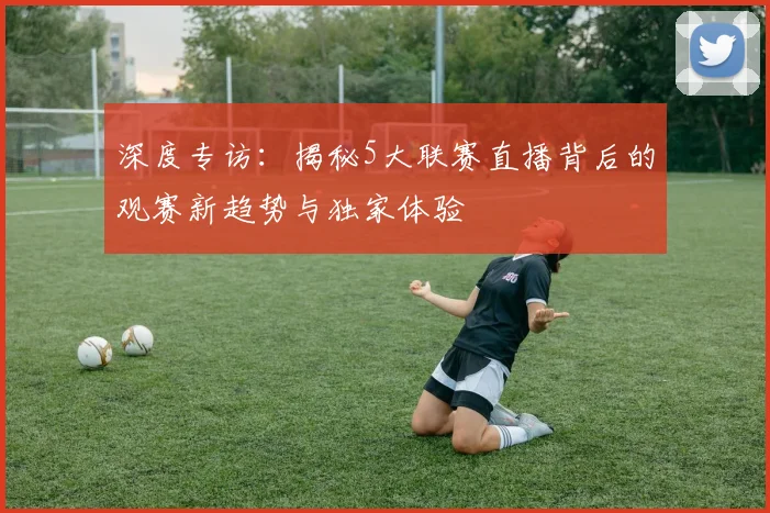 深度专访:揭秘5大联赛直播背后的观赛新趋势与独家体验